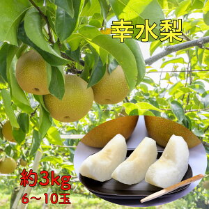 y8{蔭zK  Ȃ @3kg 6`10 ԗ 䒆 ~ʕ  ԗ ʕ  v[g {̃t[c v[g  hV̓