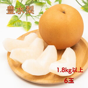 y9{\zL  Ȃ 1.8kg 6 ϔ hV̓ H̓ jԂ v[g 蕨 @{̉ʕ ʕ t[c  lߍ킹 hV̓
