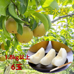 y8{蔭\zK  Ȃ @1.8kg 6 ϔ {̉ʕ ʕ ԗ  蕨 hV̓