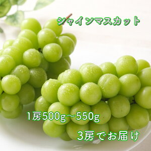 y8{肨͂\zVC}XJbg Yn ܂ 3[ 1.5kg 1[500g`550g  Mtg  v[g 蕨 {̃t[c ʕ  uhE Ԃǂ VC t[cZb