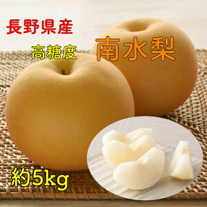 y10{蔭z쐅 쐅  Ȃ @5kg 10`16 ϔ ԗ 䒆 ~ʕ  j jԂ av[g {̃t[c v[g  쌧Y h