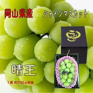 y9{蔭\zVC}XJbg R  ϔ1[ 700gO 嗱 Yn Ԃǂ  ʕ t[c Y  t[c Mtg H̖o {̉ʕ y iꕔn
