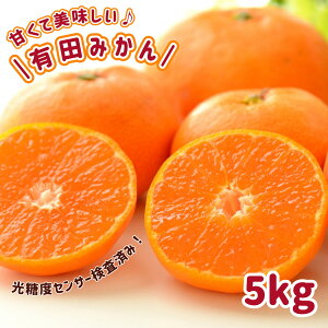 y11{蔭\z݂ ~J a̎RY Lc݂ k TCY܂ 5kg a̎R Lc B݂ ZT[ 蕨 p ʕ t[c R^cł݂ t[hX yV