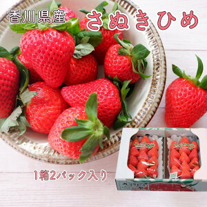 いちご イチゴ さぬきひめ 香川県産 平パック 1パック（約260g）×2パック 1ケース 苺 イチゴ ストロベリー さぬき姫