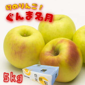 y11{蔭z ܖ 5kg(11`18) Mtg   a VNʕ j v[g ÖՂ l ʕ XC[c fU[g  ̂ Y