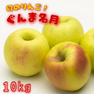y11{蔭z ܖ 10kg(22`36) Mtg   a VNʕ j v[g ÖՂ l ʕ XC[c fU[g  ̂
