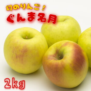 y11{蔭z ܖ 2kg(6ʓ) ϔ Mtg   a VNʕ j v[g ÖՂ l ʕ XC[c fU[g  
