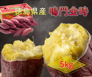 ܂  5kg ܈ Tc}C ȂƋ Ï Y TCY܂   ʕ XC[c ̓  Ε 蕨  v[g VN |Cg 