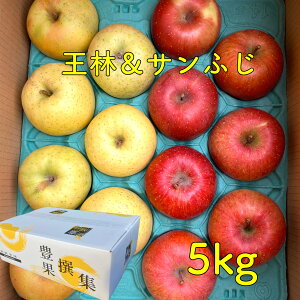 y11{蔭zXY  Tӂ& 񂲃Zbg 5kg(12`18) Hׂ׃Zbg  S ь Tӂ  t[cZbg Mtg   a VN