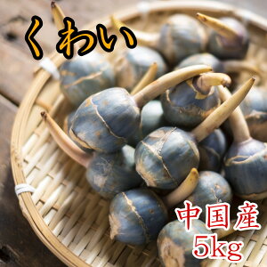 正月 野菜の人気商品 通販 価格比較 価格 Com 正月 野菜の人気商品 通販 価格比較 価格 Com