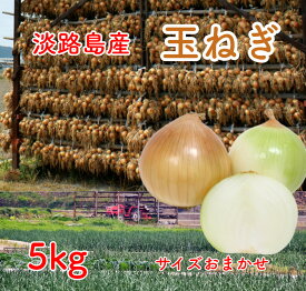 淡路島産 玉ねぎ 5kg 兵庫県産 たまねぎ 玉葱 タマネギ 常備野菜 楽天市場 ログイン 購入履歴 野菜【送料無料（一部地域省く）】