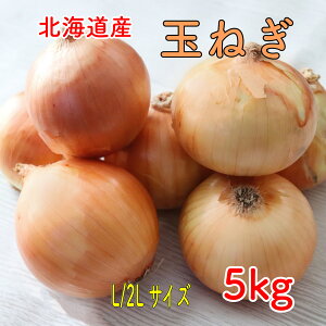 北海道産 玉ねぎ 5kg たまねぎ 玉葱 タマネギ 常備野菜 楽天市場 ログイン 購入履歴 野菜