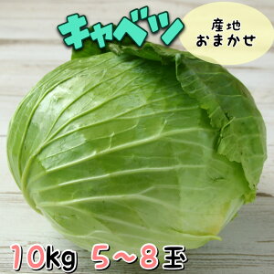 �y�Y�n���I�z�L���x�c �Y�n���܂��� 1�� 10kg �y���������i�ꕔ�n��Ȃ��j�z ����ׂ� �󂠂� �킯���� ���P�A��
