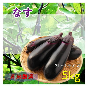 �Y�n���I �Ȃ� �֎q �Ȃ��� �i�X �󂠂� 1�� ��5kg ���Y ��� ��B �l�� �{�B �Y�n���܂��� �킯���� ���P�A����������(�ꕔ�n�揜��)�z���