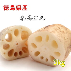 Y 񂱂 R 􂢂񂱂 @ 3kg |Cg yVs OC w   N yVs OC w  iꕔnȂj3