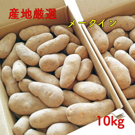 ジャガイモ じゃがいも メークイン 10kg 大きさおまかせ 市場直送 野菜 九州 四国 本州 北海道 産地おまかせ 訳あり わけあり 芋