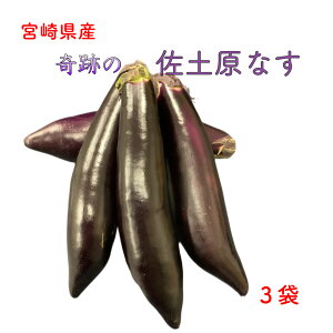 {茧Y yȂ Ȃ iX yiX Ղ̃iX ֎q Ȃ 3 Y  (ꕔn揜)z yVs OC w ߂ |Cg