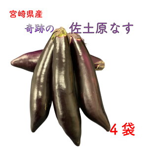 {茧Y yȂ Ȃ iX yiX Ղ̃iX ֎q Ȃ 4 Y  (ꕔn揜)z yVs OC w ߂ |Cg