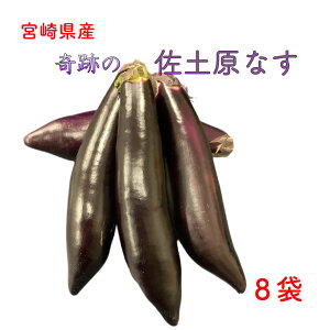 y܂ŊyVLO1ʊlz{茧Y yȂ Ȃ iX yiX Ղ̃iX ֎q Ȃ 8 Y  (ꕔn揜)z yVs OC w 