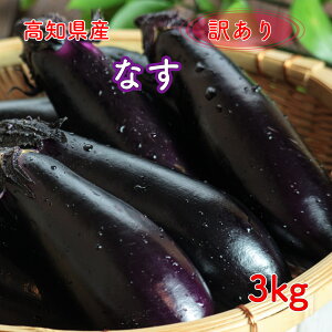 mY Ȃ ֎q Ȃ iX 󂠂 3kg Y 킯 PA(ꕔn揜)z t[hX ʍؗ