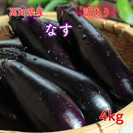 高知県産 なす 茄子 ナス なすび 訳あり 4kg 国産 わけあり ワケアリ送料無料(一部地域除く)】野菜 フードロス 果菜類