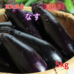 ���m���Y �Ȃ� �֎q �i�X �Ȃ��� �󂠂� 5kg ���Y �킯���� ���P�A����������(�ꕔ�n�揜��)�z��� �t�[�h���X �ʍؗ� �y�V�s�� ���O�C�� �w������ �����߂� �|�C���g����