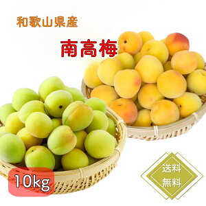 �y6����{�����\��z���I�썂�~ �~ �t���b�V���~ �썂�~ ���� �E�� 10kg ���~ �T�C�YL�`2L �M�t�g ���� ���蕨 �I�B�썂�~ �~�V���b�v �W���[�X �~�� �~���� �W���� �a�̎R���Y ���̓� ���~ 