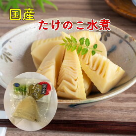 たけのこ たけのこ水煮 国産 5パック 300g ×5 タケノコ 筍 竹の子 九州 四国 本州 春野菜 野菜 楽天市場 ログイン 購入履歴 保存用 おためし 下処理済 ボイル済 下茹済 敬老の日