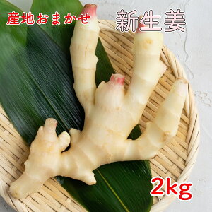 mEa̎RY Yn܂ V傤 Ai Gi LTCY 2kg VI I 傤 N[yiꕔnȂjz  O 蕨 yVs OC w@