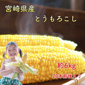 宮崎県産 とうもろこし 6kg トウモロコシ ゴールドラッシュ もろこし スイートコーン BBQ 野菜 お中元 父の日 プレゼント 贈り物 ご飯 保存 ひげ茶 旬の野菜 野菜 楽天 ログイン 購入履歴 宮崎 イエローコーン