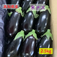 高知県産 米茄子 米なす べいなす 米ナス A品 1箱 9個 なす 茄子 なすび ナス 国産 送料無料(一部地域除…
