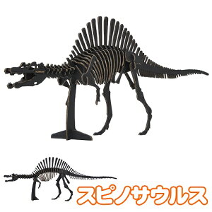 【8点までメール便も可能】ハコモ スピノサウルス BLACK  [ペーパークラフト 恐竜 ダイナソー 手作り 段ボール 組立式 工作キット 小学生 夏休み 置物 インテリア 飾り おもちゃ 玩具 子ど