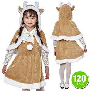 ~NeB[giJC LbY 120@@[giJC RXv NX}X RX`[ qp ̎q c LbY  킢 L[g Cxg]y_899969z