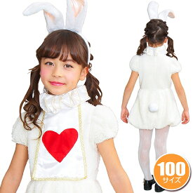 【ハロウィン コスプレ アリス 子供】ワンダーラビットガールキッズ 100 [ハロウィン 衣装 子供 不思議　アリス コスチューム アリス衣装 うさぎ コスプレ コスチューム うさ耳]【841913】