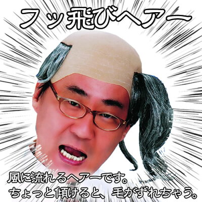 フッ飛びヘアー【おもしろカツラ・パーティーグッズ】【MJP378】