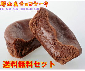 【送料無料セット】生チョコケーキ 6個/ バラ入れ お試しセット お菓子 菓子 スイーツ ショコラ ガナッシュ チョコレート チョコレートケーキ 個包装 おすすめ お供え 入学 母の日 お祝い 御礼 返礼 人気 老舗 高級 1000円ポッキリ お買い物マラソン 買い回り ポイント消化