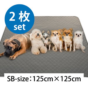 y2ȏ5%OFFzy|I]IzybgV[c 􂦂 L  pbh  gC悭 gC~ }bg RȂ  h~ ybgp  INULABO Ck{