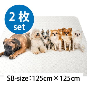 y2ȏ5%OFFzy|I]IzybgV[c 􂦂 L  pbh  gC悭 gC~ }bg RȂ  h~ ybgp  INULABO Ck{