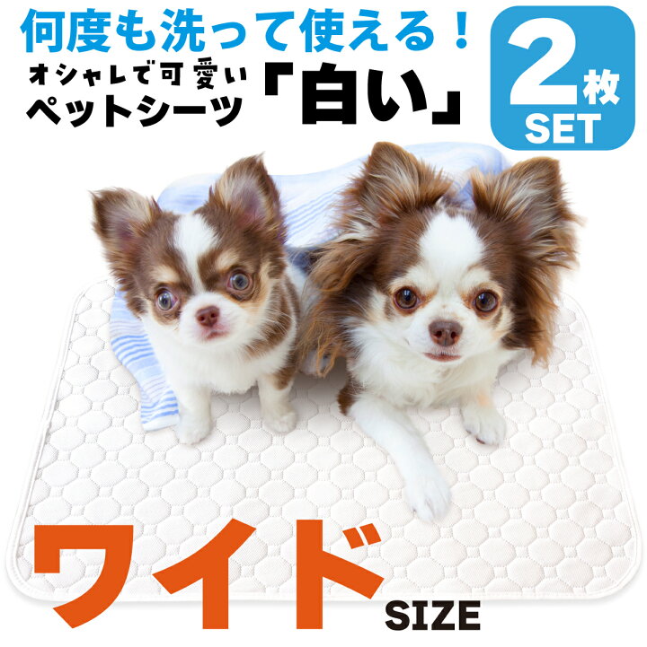 楽天市場 圧倒的高評価 2セット同時購入で5 Off ペットシーツ 洗える 猫 犬 おしっこパッド おしっこ トイレがよく見える トイレ下敷き マット 漏れない 床 傷防止 ペット用 多頭買い ワイドサイズ 2枚セット Inulabo イヌラボ K Digital