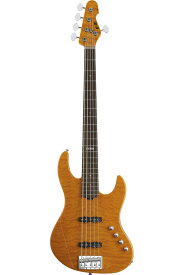 E-II J Series J-5 QM ROSEWOOD (AMB)【次回入荷分ご予約受付中】【送料無料】