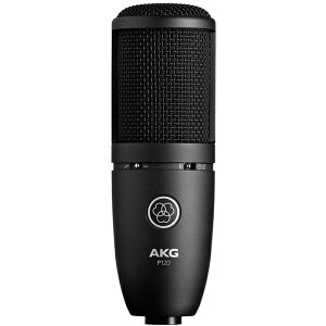 AKG Project Studio Line Series P120 �s�R���f���T�[�}�C�N�t�y���������z�y���\���t���z
