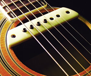 L.R.Baggs M-1 Passive