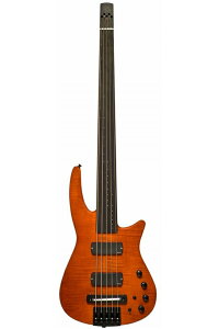 NS Design RADIUS5 Bass Fletless(Amber Satin)stbgXx[Xtyz