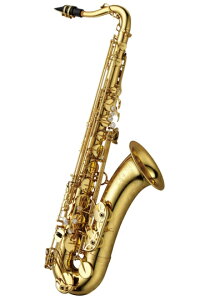 YANAGISAWA / iMT ei[TbNX T-WO10