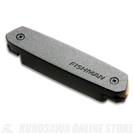 Fishman Neo-D Magnetic Soundhole Pickup (Single Coil) [PRO-NEO-D01] (アコースティックギター用ピックアップ)(ご予約受付中)【ONLINE STORE】