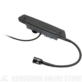 Fishman Rare Earth Blend Soundhole Pickup [PRO-REP-103] (アコースティックギター用ピックアップ)【ONLINE STORE】