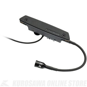Fishman Rare Earth Blend Soundhole Pickup [PRO-REP-103] (AR[XeBbNM^[psbNAbv)yONLINE STOREz