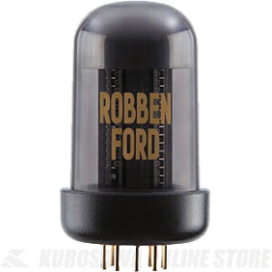 Roland BC TC-RF Blues Cube Tone Capsule sBlues Cubepg[JvZty\tz yz