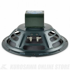 Jensen P�V���[�Y(�A���j�R�E�}�O�l�b�g) P10R-NB(8��) [P10R] �s�X�s�[�J�[�t