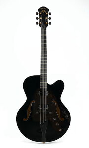 Martin Inactive Guitars CF-2 Black yz